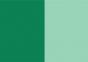 Grumbacher Academy Oil Color 37 ml Tube - Permanent Green Light