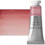 Winsor & Newton Professional Watercolor - Potter's Pink, 14ml Tube