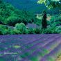 Provence is a geographical region and historical province of southeastern France
