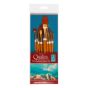 Qualita Gold Short Handle Value Brush Set Of 9