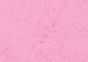 Mount Vision Soft Pastels Individual - 242/Dusty Rose