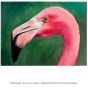 "Flamingo" by Amy Dean on Raphael Oil Primed Linen Canvas
