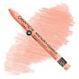 Caran d'Ache Neocolor II Water-Soluble Wax Pastels - Salmon, No. 051 (Box of 10)