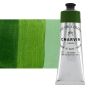 Sap Green 150ml Tube Fine Artists Oil Paint by Charvin