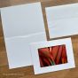 Trifold cards feature a cutout window
