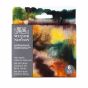 Winsor & Newton Professional Watercolor Rich Earth Set of 6, 5ml