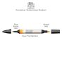Professional Watercolour Markers feature 2 tips; 1 fine point and 1 flexible brush tip