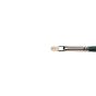 Winsor & Newton Winton Hog Brush Bright #1
