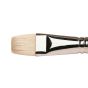 Winsor & Newton Winton Hog Brush Bright #12