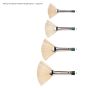 Long Handle Fan Winton Hog Brushes