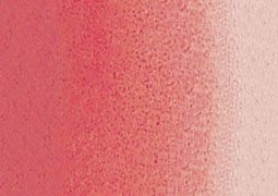 Bamb And Thumper Rabbt Cute Clpart PNG Fles DGTAL - Etsy