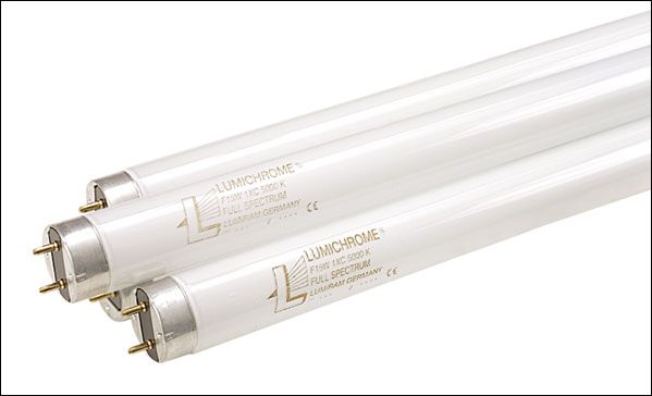 Lumichrome Fluorescent Bulbs 40 Watt (4 Pack) 48"