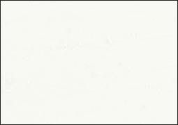 Mungyo Gallery Standard Oil Pastels Box of 6 - White
