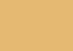 Daler-Rowney Soft Pastel Individual - Autumn Brown 2