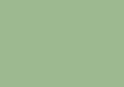 Daler-Rowney Soft Pastel Individual - Green Grey 2