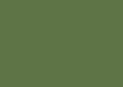Daler-Rowney Soft Pastel Individual - Green Grey 4