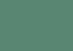 Daler-Rowney Soft Pastel Individual - Hooker's Green 3