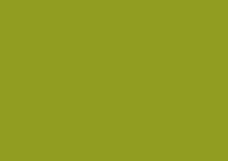 Daler-Rowney Soft Pastel Individual - Olive Green 3
