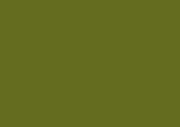 Daler-Rowney Soft Pastel Individual - Olive Green 4