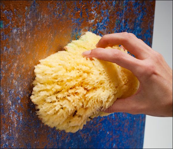 Painting Sponges Aphrodite Natural