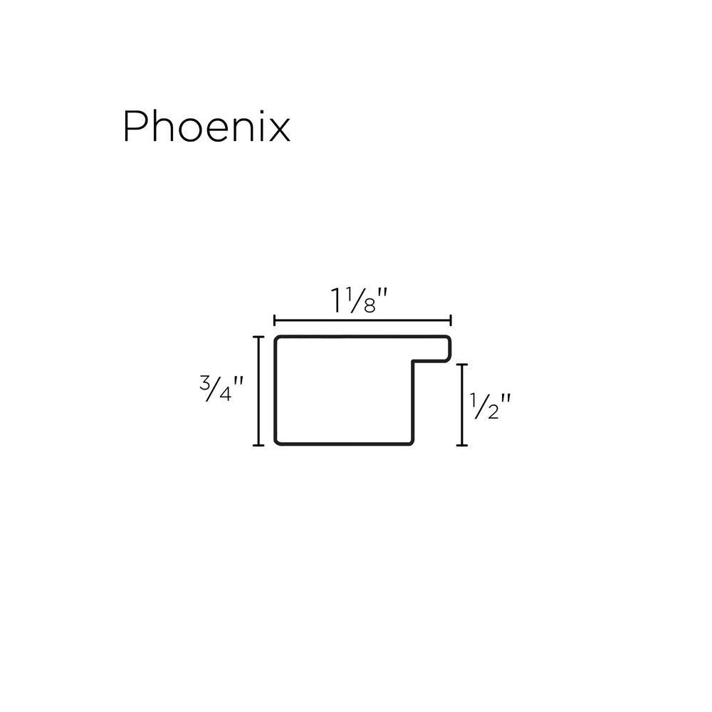 Phoenix Custom Frame Profile