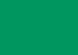 Canford Paper 25-Pack 20.5x30.5" - Emerald