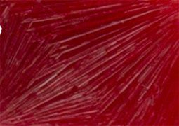 Frida Glass Paint Crystal Effect Glass Paint 500 ml - Bugambilia