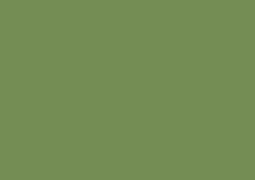 ShinHan TOUCH TWIN Art Marker Flexible Brush / Medium Chisel Tips - Sap Green