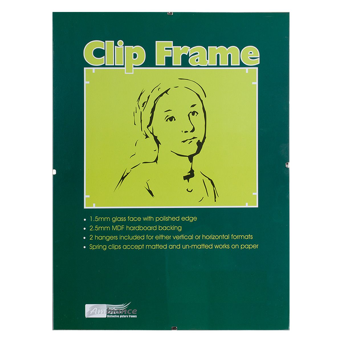 Ambiance Gallery Clip Frame, 9"x12"
