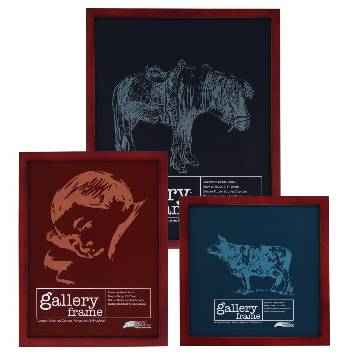 Ambiance Gallery Wood Frame Variety Of Sizes