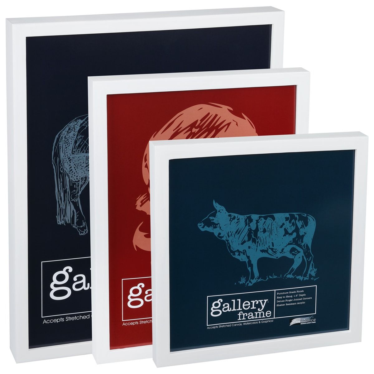 Ambiance Gallery Wood Frame Variety Of Sizes 