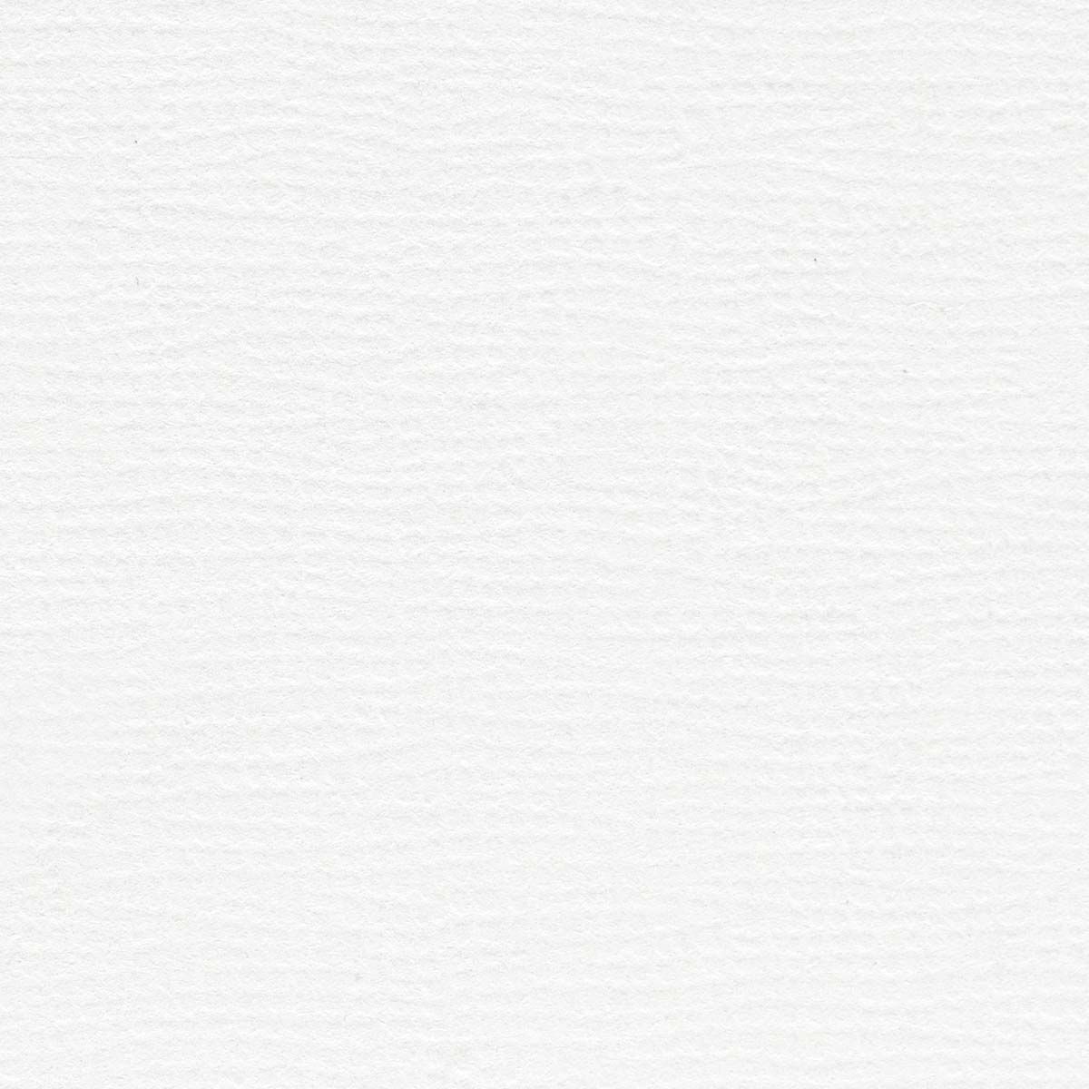 Art Bites Canvas 2