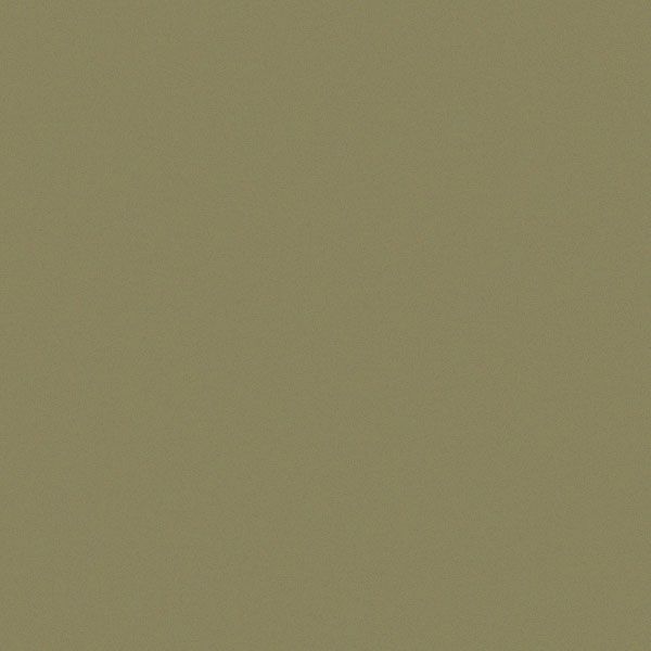Art Spectrum Smooth Pastel Paper - Olive Green, 9.5"x12.5" (Pack of 10)