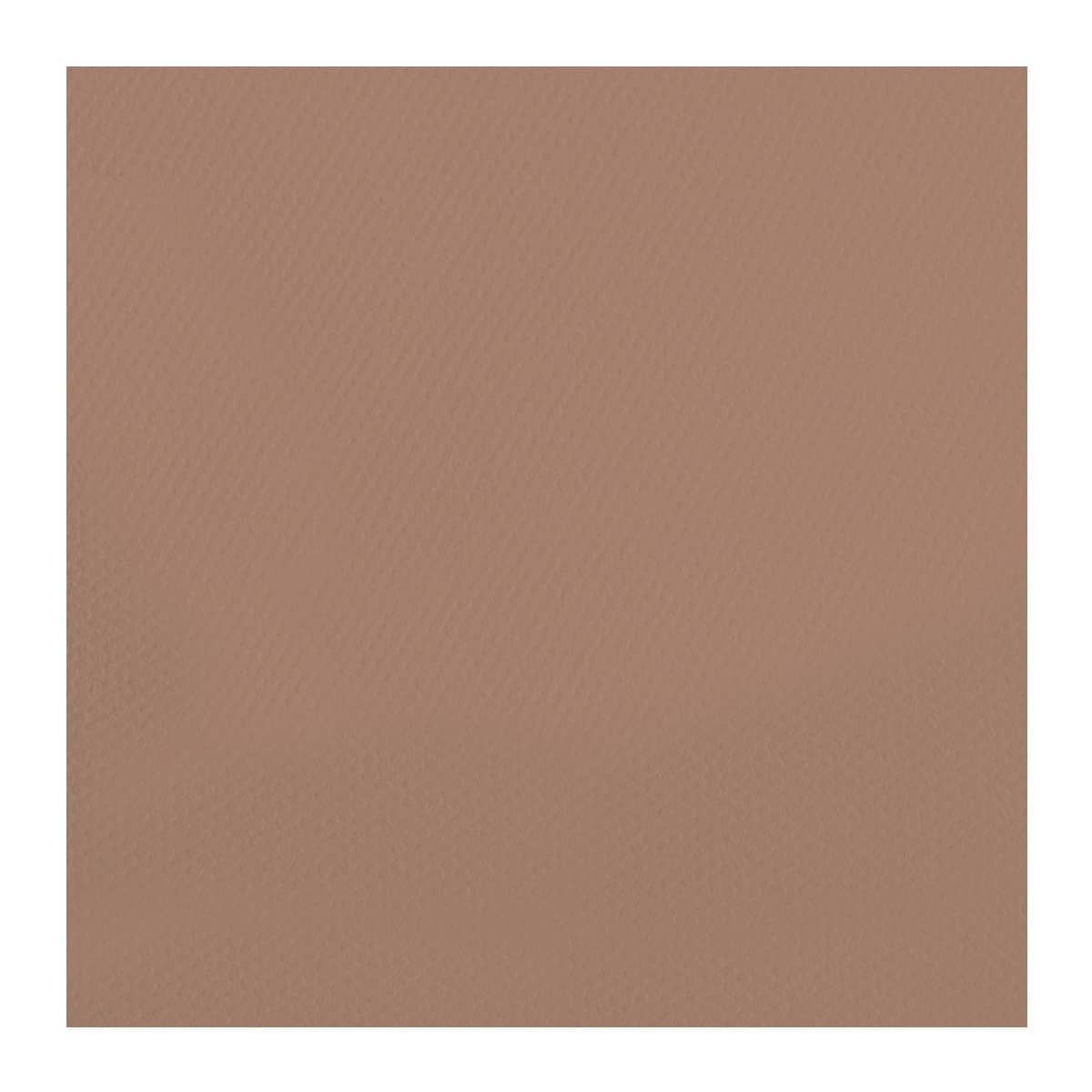 Chestnut Brown #188 Canson Mi-Teintes Paper 10pk 19x25 in  