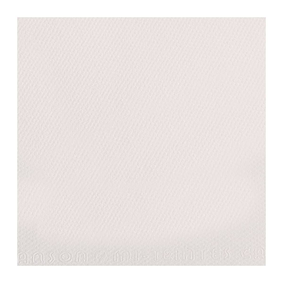 Cloudy White #180  Canson Mi-Teintes Paper 10pk 19x25 in 