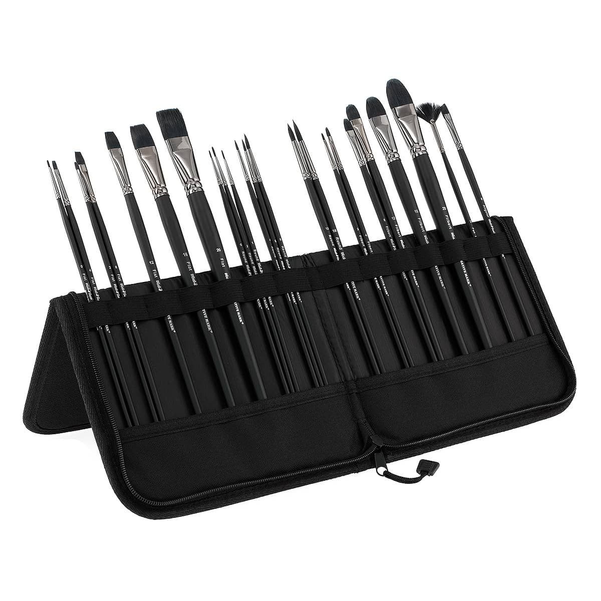 Black Swan Professional Set of 23 with Zippered Easel Case