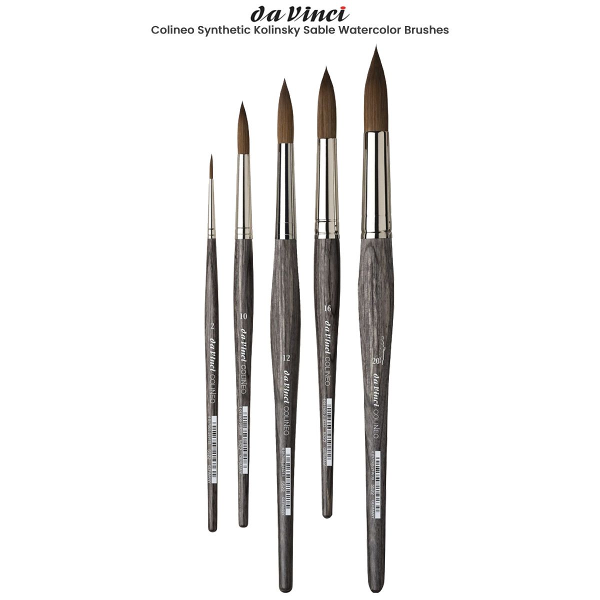 Colineo Synthetic Kolinsky Sable Watercolor Brushes Jerry's Artarama