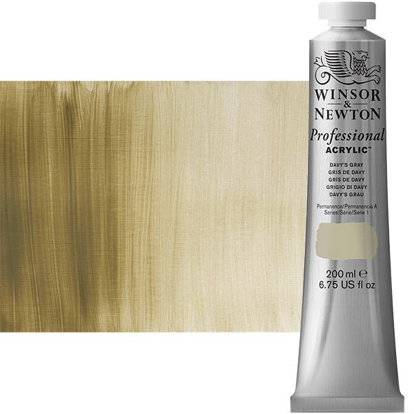 Winsor & Newton Professional Acrylic Davy's Grey 200 ml