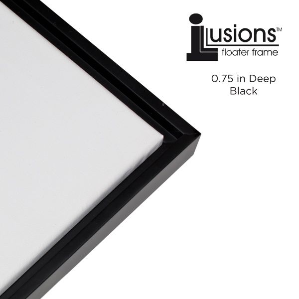 Illusions Floater Frame, 5