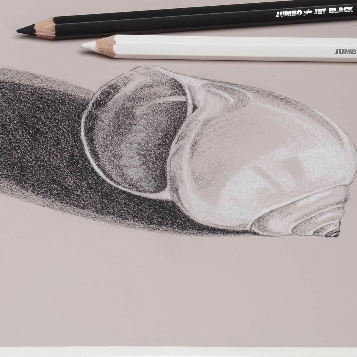 Black, White: Seashell artwork, toned paper