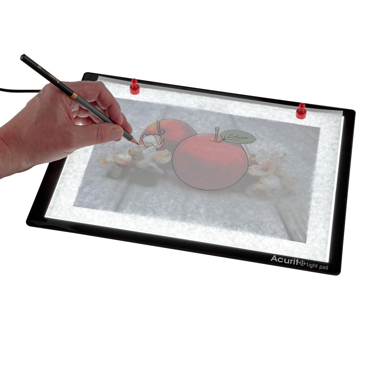 Durable, lightweight, compact, and portable Light Pad