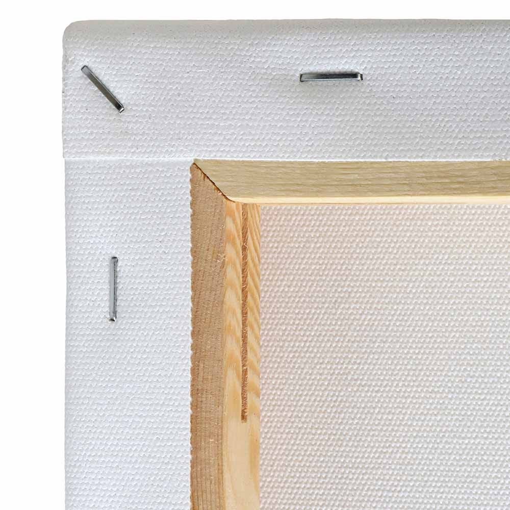 Liquitex Deep Edge Recycled Canvas 20 x30 Box Of 3 Jerry s Artarama