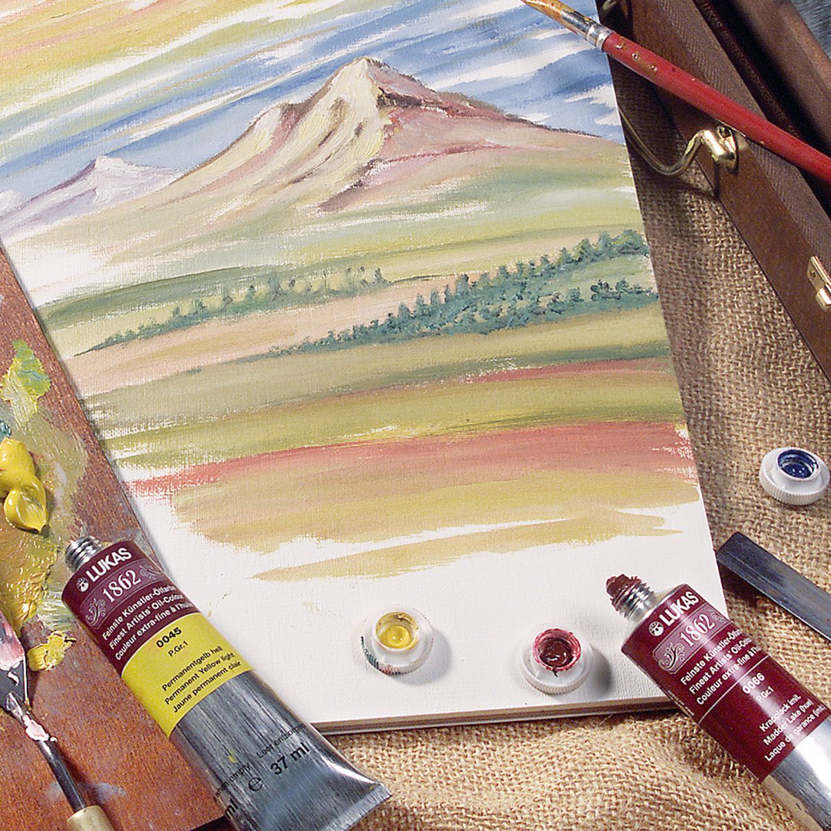 LUKAS 1862 Oil Colors Professional Artist Oil Paints Jerry's Artarama