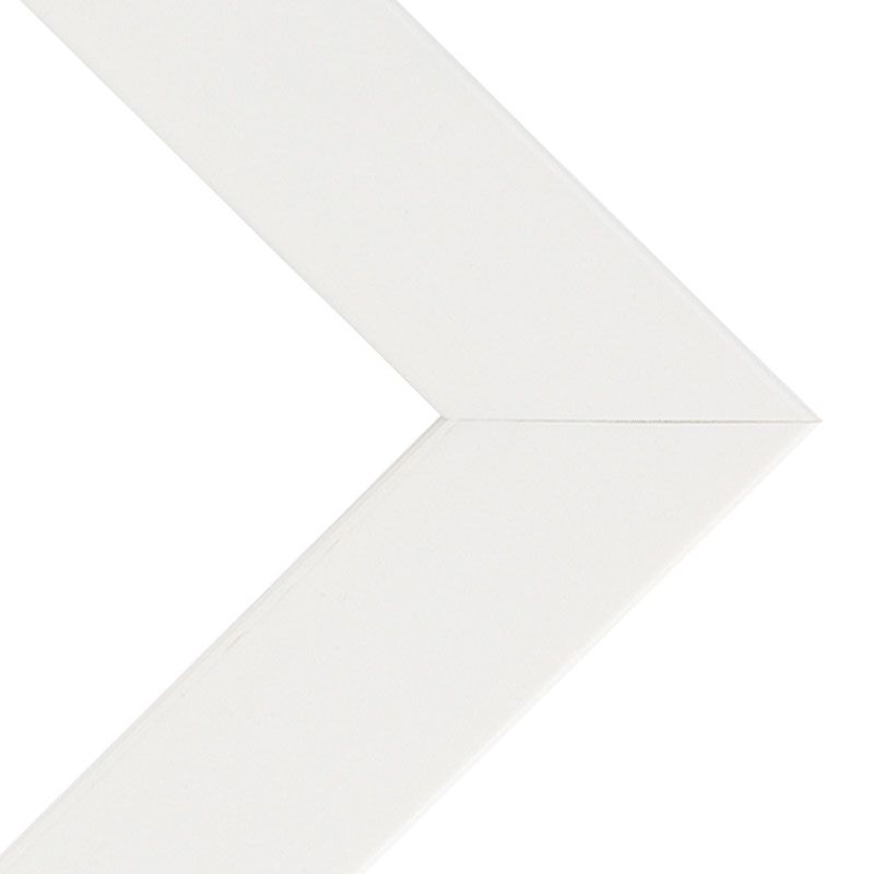 Box of 4 Millbrook Cap 1.25" White Frame 24X30 w/ Acrylic  