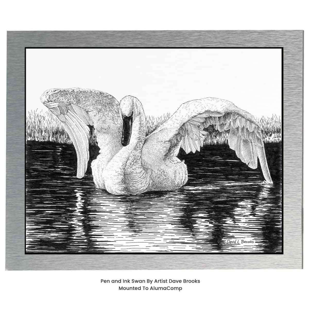 Mount Pen and Ink Prints