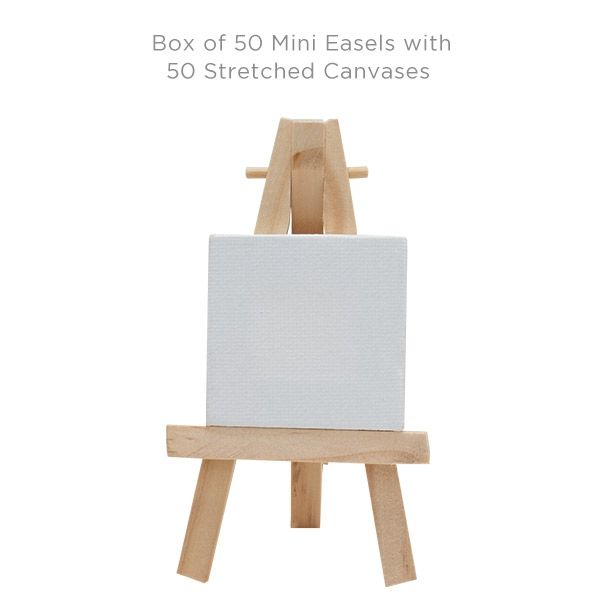 Ultra Mini Stretched Canvas And Easels By Creative Mark w/ 50 Stretched