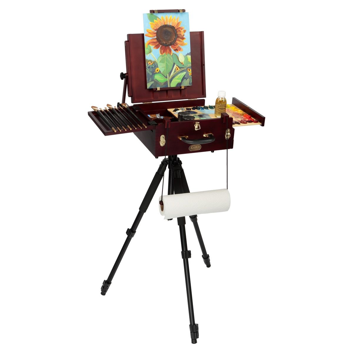 Art Box and Panel Plein Air Easels