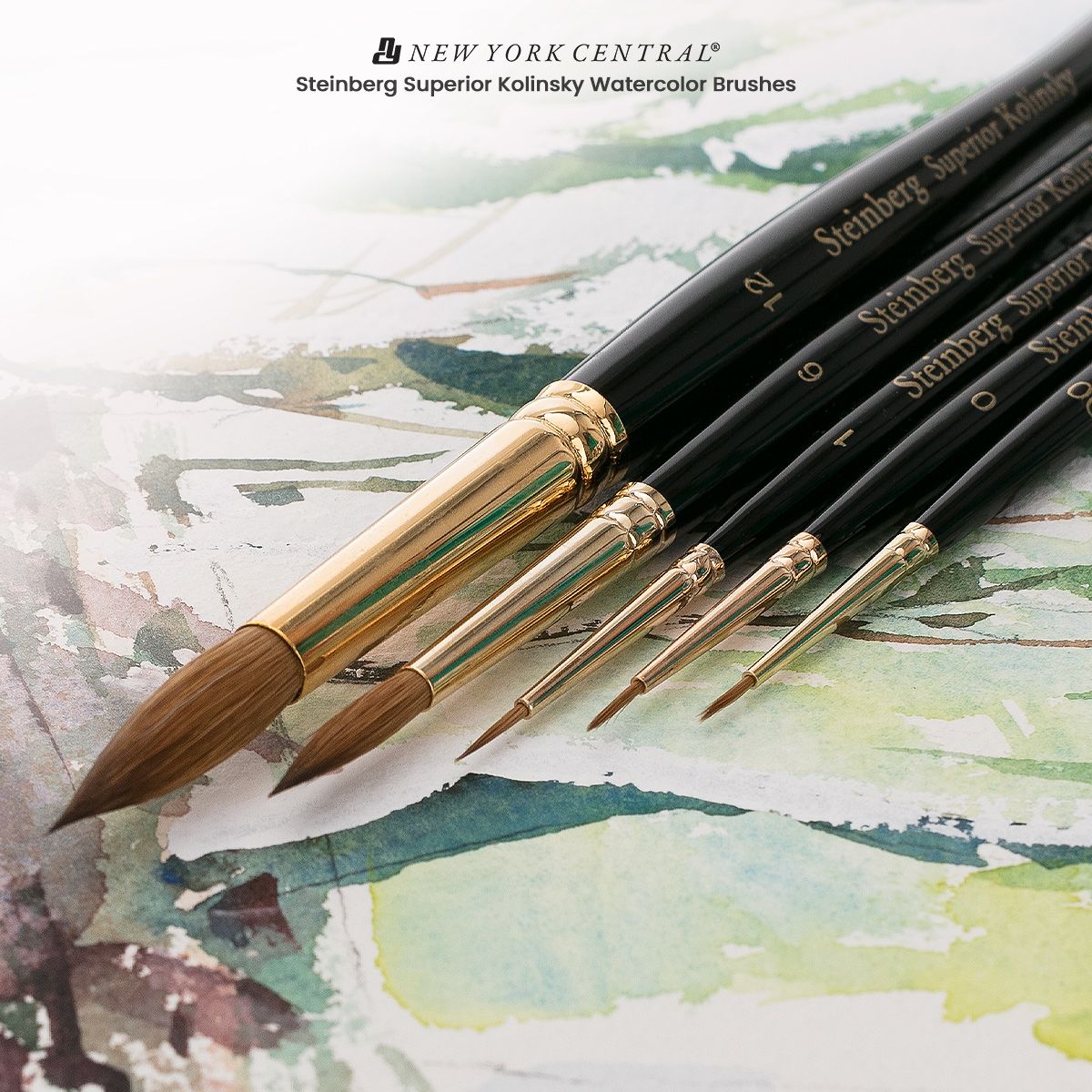 New York Central Oasis Synthetic Premium Brushes - Elite Professional  Watercolor Brushes for Artists, Painting, Students, Studios, & More! -  [Round - Size #12] 