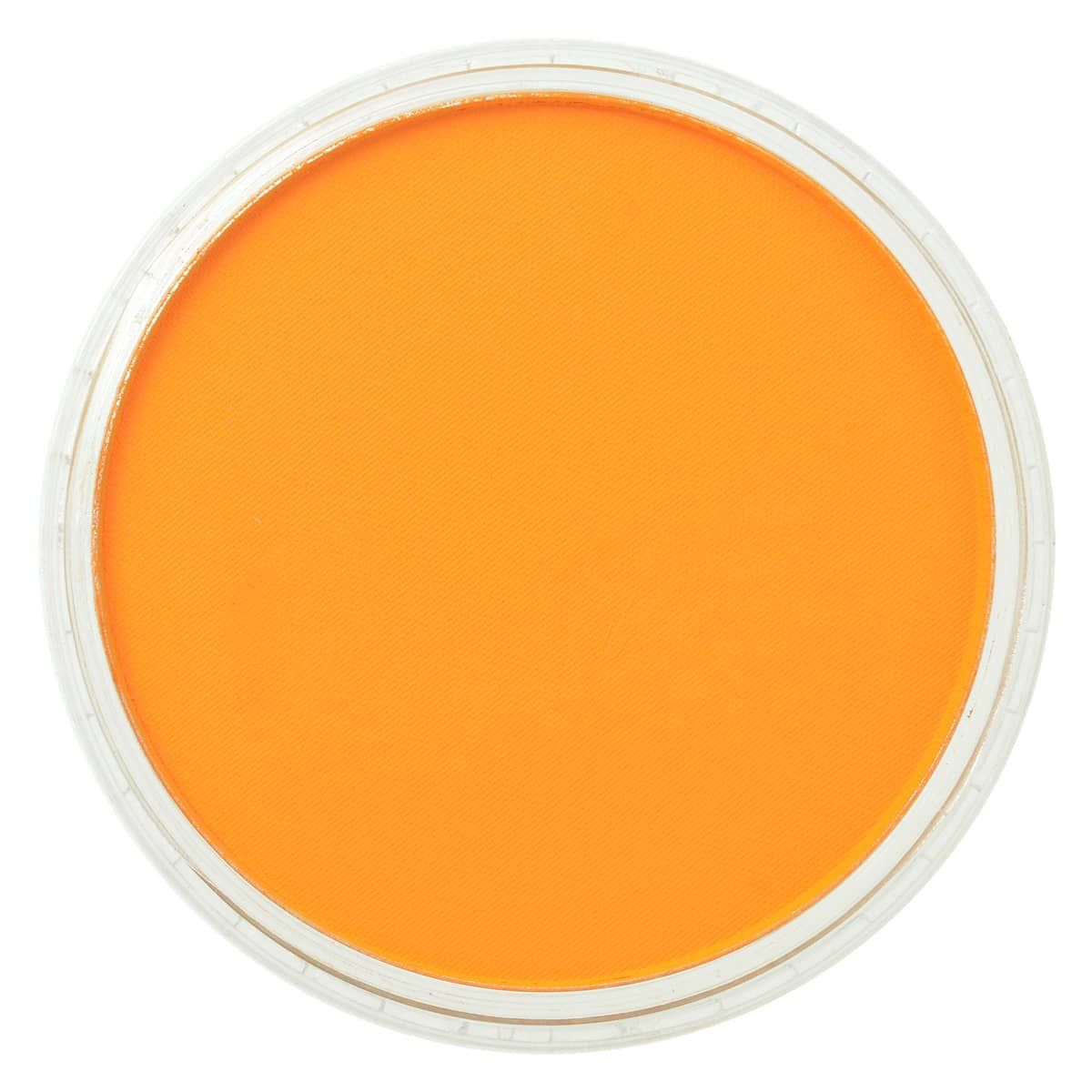 PanPastel Pastello Perlescente Ultra Morbido 9 Ml – Giallo Luminoso Con Effetto Iridescente, Per Artisti E Decorazioni