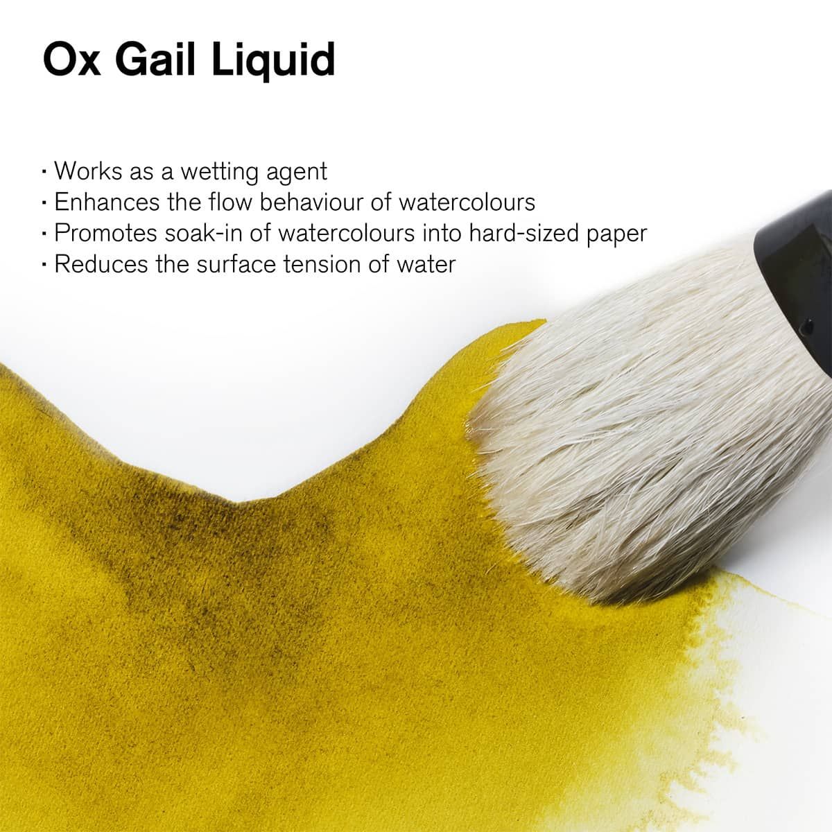 Winsor & Newton Water Colour Mediums - Ox Gall Liquid, 75ml Bottle